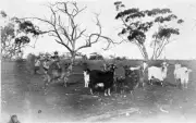 Myall' Farm Carwarp Victoria ca 1910 OLD PHOTO