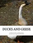 Ducks and Geese by Harry Lamon (English) Paperback Book