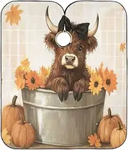 Highland Cow Old Silver Pumpkin Haircutting Cloth Shampoo Capes Waterproof, Capes Salon 64.9 In x 55.1 In, Highland Cow Old Silver Pumpkin