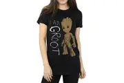 Guardians Of The Galaxy Womens/Ladies I Am Groot Scribble Boyfriend T-Shirt (Black) - UTBI595