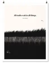 Walt Whitman Grass Print, Poster by Obvious State (COR), Brand New, Free ship...
