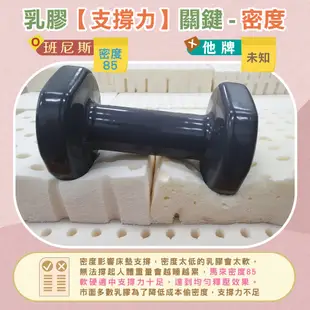 【班尼斯】乳膠床墊高純度95%高密度85鑽石級【雙人床墊5x6.2尺】多款厚度選全新製程切片天然乳膠床墊推薦