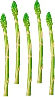 Alipis 5pcs Artificial Asparagus Simulation Props Lifelike Vegetable Models for Rustic Kitchen Decor Restaurant Display Realistic Photo Props Educational Toys