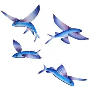 Ceramic Mosaic Flying Fish (set of 4) for Swimming Pool or Wall - Free Shipping