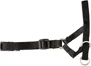 Pawise Dog Head Collar, Small