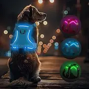 Light Up Dog Dog Harness, Luminous LED Rechargeable - Luminous Harness for Small, Medium, Large Dog, Reflective Chest Harness, Illuminated Dog Harness, 4-Point Adjustable, Blue, XL