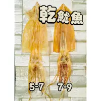 在飛比找蝦皮購物優惠-【電子發票】#現貨 阿根廷 乾魷魚 5-7/7-9 70g~