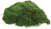 VANZACK 1 Artificial Moss for Crafts Faux Greenery Lawn Filler for Home Office Decoration for Potted Plants Bonsai Landscape Design of Looking Texture