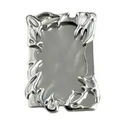Electroplate Plasitic Frame Photo Binder Card Holders Case for Collectors