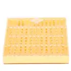 Beekeeping Equipment Tool Queen Rearing System Bee Nicot Cultivating Box Supply
