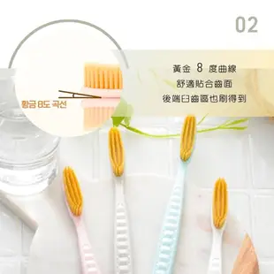 韓國製造 Wangta 護齒金軟毛牙刷 (3入一組附刷套/粉+藍+灰) (4.4折)