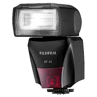 在飛比找Yahoo奇摩購物中心優惠-FUJIFILM EF-42 TTL Flash 外接式閃光