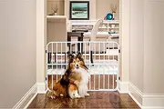 Carlson Pet Products Tuffy Metal Expandable Pet Gate, Includes Small Pet Door, 24 x 26-38 Inch, Beige, White