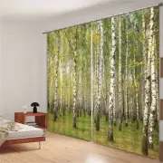 Tall Straight Birch 3D Blockout Photo Curtain Print Curtains Fabric Kids Window