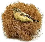 Mats Avenue® Manually Extracted Natural Coir Fiber Nesting Material for Birds for Making Nest, Laying Eggs Breeding as Natural Bed, Playing Toy and Many More Golden Color. (250 Grams)