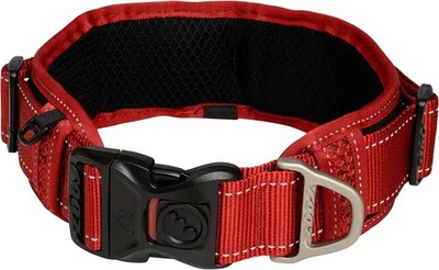 Classic Non Shift Padded Dog Collar with Rogloc Red Extra Extra Large