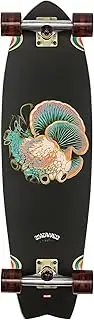 [Globe] Skate Chromantic 33 Inch Cruiser Resin