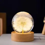 3D Dandelion Crystal Ball Beech Wood Stand Base Flower Sphere Night Light