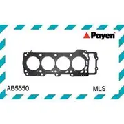 Payen Head Gasket - AB5550