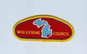 BSA CSP Wolverine Council S-1 first issue pm