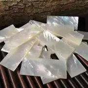 5Pcs White Natural Mother of Pearl Shell Slices for Musical Wood Inlay Crafting