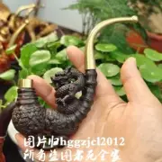 Ebony Wood Carved Dragon Head Smoke Tobacco Pipe Cigarette Holder Filter Gift