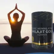 Pure Himalayan Shilajit Gummies Immune Support with Ashwagandha Chaga MushroomAU