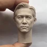 1/6 Scale Wen Wu Tony Leung Chiu Wai Heard Head Sculpt Unpainted Fit 12" Figure