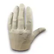 10" 25.4 cm John Asaro Style Planar Hand, Human hand, Learn the Planes
