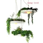LED 節能燈 最新 創意空中花園吊燈批發個性花盆黑白色燈罩單頭餐廳吊燈鋁材燈飾具