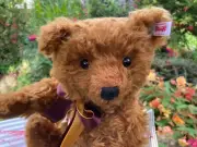 Steiff 2023 British Collectors Teddy, Mohair/Growler , numbered 318 - BEAR SHOP