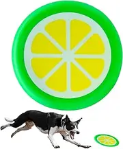 Rainbow-K9 Black Flying Discs Dog Toy