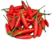 Chilli KANTHARI MULAKU Indian Birds Eye 10 Seeds Super HOT Chili Spicy Vegetable