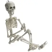 Prextex 19” Posable Halloween Skeleton- Full Body Halloween Skeleton with