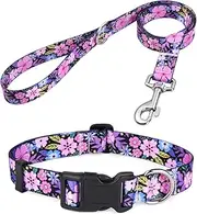 Mihqy Dog Collar and Lead Set with Bohemia Floral Tribal Geometric Patterns - Soft Ethnic Style Collar Adjustable for Small Medium Large Dogs(Pink Floral Set,M)
