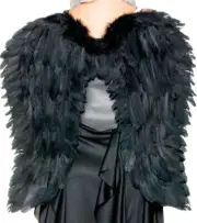 Adult Feather Wings 26In - Underwraps
