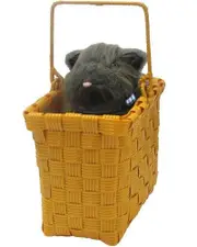 Wizard of Oz Dorothy Toto Basket