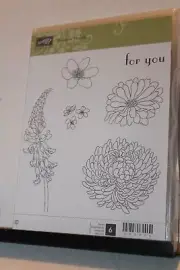e Stampin Up Forever Florals 6 pc NUM