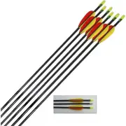 Petron Archery Target Arrows Fibreglass 28 inch - round ends