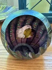 Rare Glass Eye Studio Paperweight Art Juno Asteroid Celestial Signed and Dated