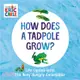 How Does A Tadpole Grow?: Life Cycle with the Very Hungry Caterpillar (硬頁書)