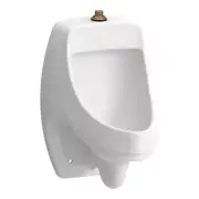 Urinal w/ Top Spud White Backwall Geometry Washout Flush System Dexter 0.125 GPF