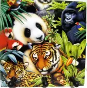 New Jungle Key Rack 3 Hooks Keys Panda Gorilla Tiger Monkey Leopard Parrots