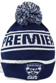 Geelong Cats 2022 AFL Premiers Beanie