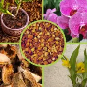 Coconut Husk Chips Dry Natural 100% Orchids Anthurium Growing Organic Media coir