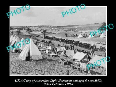 OLD LARGE HISTORICAL PHOTO OF AIF ANZAC THE AUST LIGHT HORSE CAMP BELAH c1916