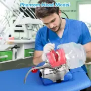 Dental Simulator for Training Manikin Phantom Head Model with Removable Teeth AU
