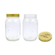 12 x LARGE GLASS PRESERVING JAM JARS 1000ml - Mason Canning GLASS FOOD STORAGE JAR