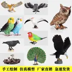 仿真動物模型玩具實心飛禽鳥類貓頭鷹老鷹鸚鵡孔雀鴕鳥認知擺件 LW5P