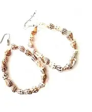 Shell Pierced Earrings Loop Dangle